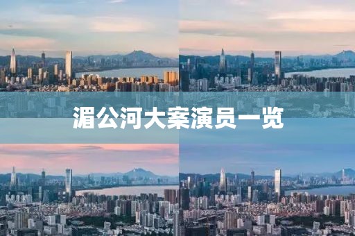 湄公河大案演員一覽