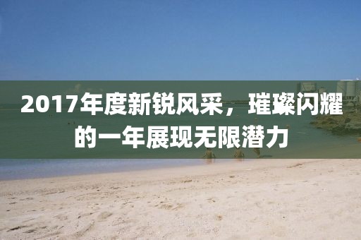 2017年度新銳風(fēng)采，璀璨閃耀的一年展現(xiàn)無(wú)限潛力