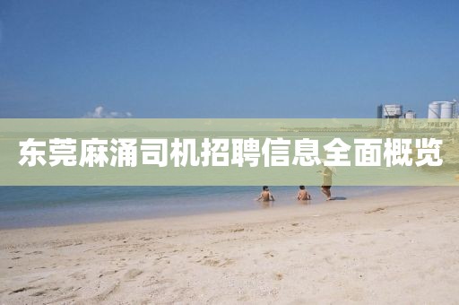 東莞麻涌司機(jī)招聘信息全面概覽