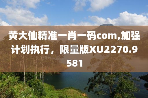 黃大仙精準一肖一碼com,加強計劃執(zhí)行，限量版XU2270.9581
