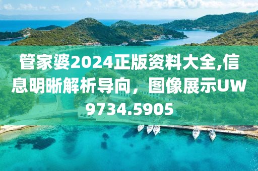 管家婆2024正版資料大全,信息明晰解析導(dǎo)向，圖像展示UW9734.5905