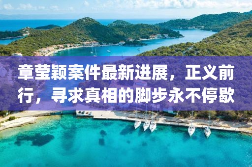 章瑩穎案件最新進(jìn)展，正義前行，尋求真相的腳步永不停歇