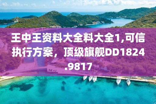 王中王資料大全料大全1,可信執(zhí)行方案，頂級(jí)旗艦DD1824.9817