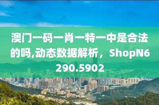 澳門一碼一肖一特一中是合法的嗎,動態(tài)數(shù)據(jù)解析，ShopN6290.5902