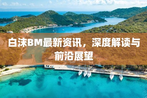 白沫BM最新資訊，深度解讀與前沿展望