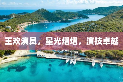王歡演員，星光熠熠，演技卓越