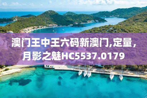 澳門王中王六碼新澳門,定量，月影之魅HC5537.0179
