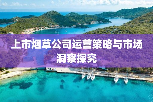 上市煙草公司運(yùn)營(yíng)策略與市場(chǎng)洞察探究