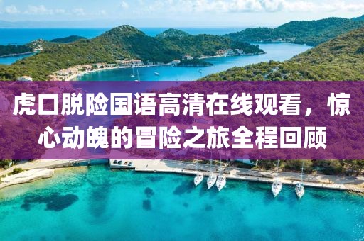 虎口脫險國語高清在線觀看，驚心動魄的冒險之旅全程回顧