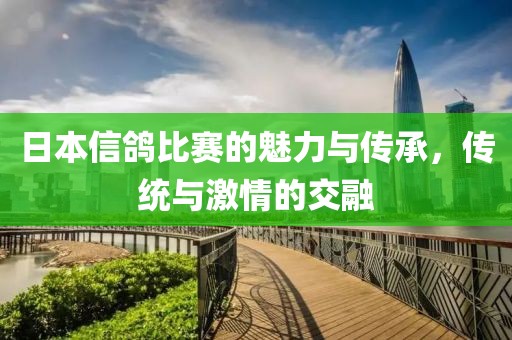 日本信鴿比賽的魅力與傳承，傳統(tǒng)與激情的交融