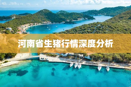 河南省生豬行情深度分析