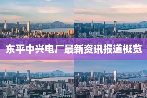 東平中興電廠最新資訊報(bào)道概覽