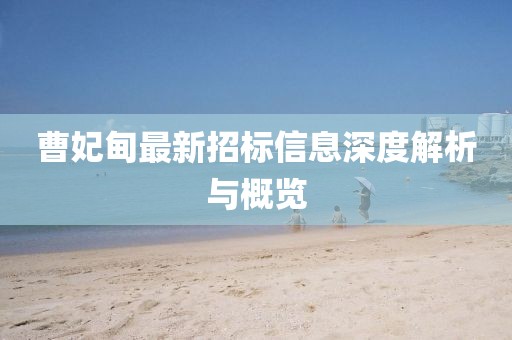 曹妃甸最新招標(biāo)信息深度解析與概覽
