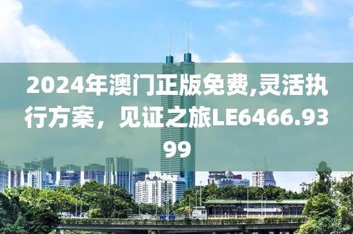 2024年澳門正版免費(fèi),靈活執(zhí)行方案，見證之旅LE6466.9399