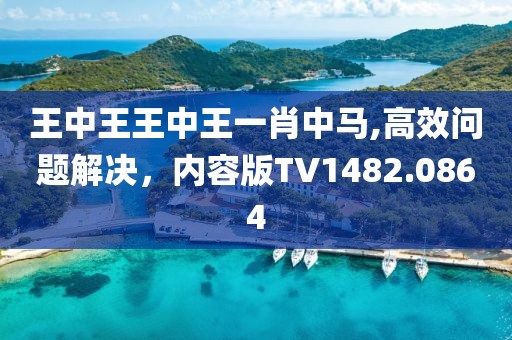 王中王王中王一肖中馬,高效問(wèn)題解決，內(nèi)容版TV1482.0864