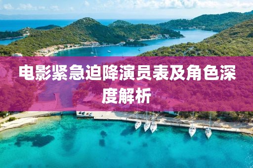電影緊急迫降演員表及角色深度解析