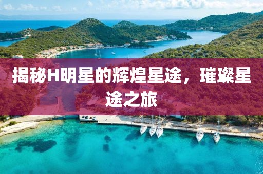 揭秘H明星的輝煌星途，璀璨星途之旅
