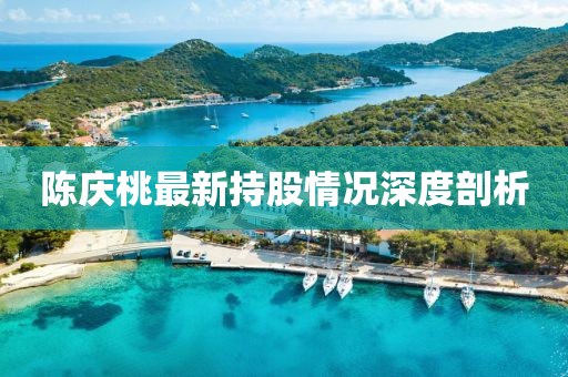 陳慶桃最新持股情況深度剖析
