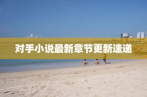 對手小說最新章節(jié)更新速遞