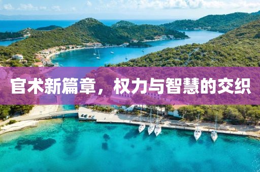 官術(shù)新篇章，權(quán)力與智慧的交織