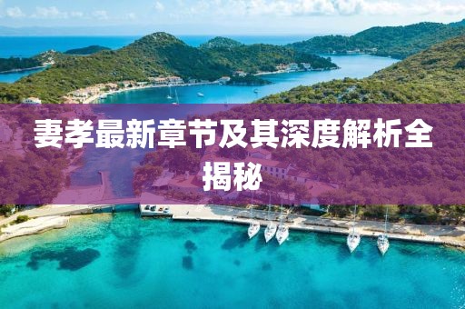 妻孝最新章節(jié)及其深度解析全揭秘