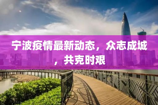 寧波疫情最新動態(tài)，眾志成城，共克時(shí)艱