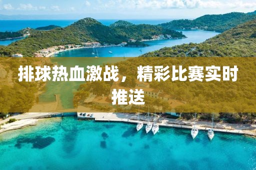 排球熱血激戰(zhàn)，精彩比賽實時推送