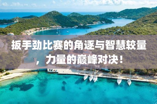 扳手勁比賽的角逐與智慧較量，力量的巔峰對(duì)決！