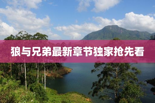 狼與兄弟最新章節(jié)獨(dú)家搶先看
