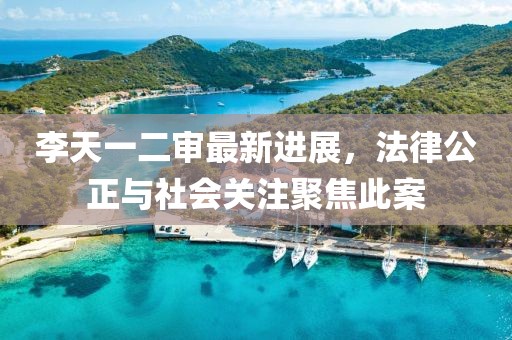 李天一二審最新進(jìn)展，法律公正與社會關(guān)注聚焦此案