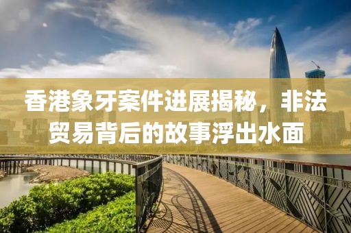 香港象牙案件進(jìn)展揭秘，非法貿(mào)易背后的故事浮出水面