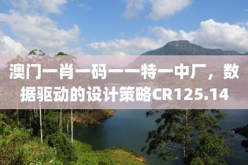 澳門一肖一碼一一特一中廠，數(shù)據(jù)驅(qū)動的設(shè)計策略CR125.14