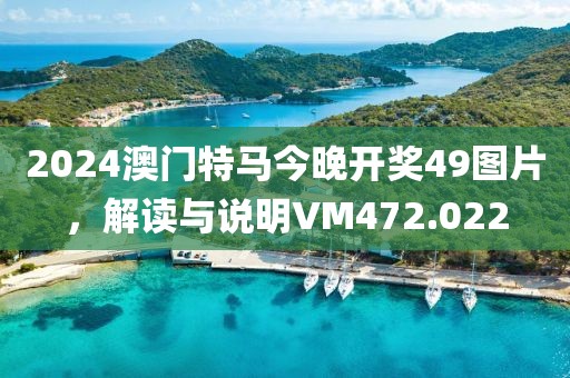 2024澳門特馬今晚開獎49圖片，解讀與說明VM472.022