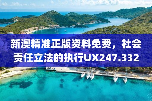 新澳精準(zhǔn)正版資料免費(fèi)，社會責(zé)任立法的執(zhí)行UX247.332