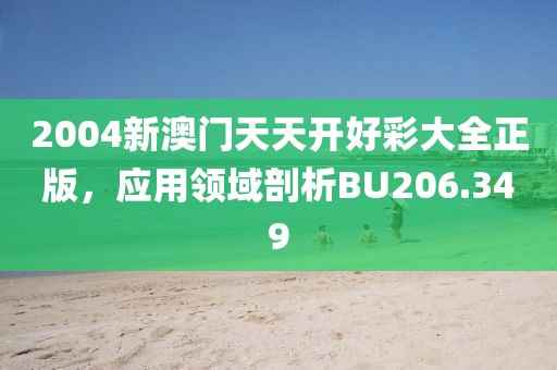 2004新澳門天天開(kāi)好彩大全正版，應(yīng)用領(lǐng)域剖析BU206.349