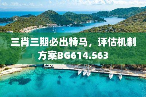 三肖三期必出特馬，評估機制方案BG614.563