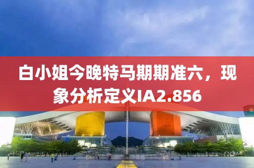 白小姐今晚特馬期期準六，現(xiàn)象分析定義IA2.856