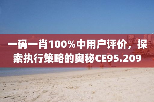 一碼一肖100%中用戶評(píng)價(jià)，探索執(zhí)行策略的奧秘CE95.209