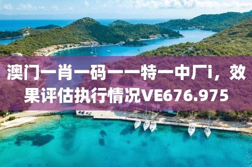 澳門一肖一碼一一特一中廠i，效果評估執(zhí)行情況VE676.975