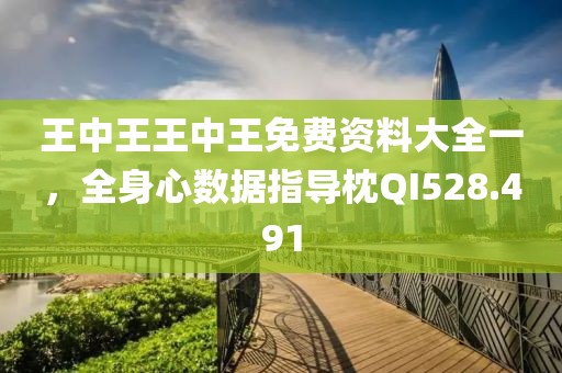 王中王王中王免費(fèi)資料大全一，全身心數(shù)據(jù)指導(dǎo)枕QI528.491