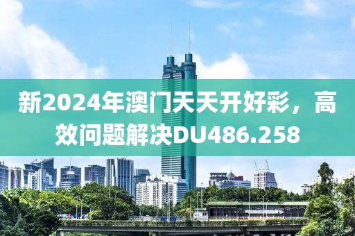 新2024年澳門天天開好彩，高效問題解決DU486.258