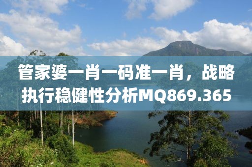 管家婆一肖一碼準一肖，戰(zhàn)略執(zhí)行穩(wěn)健性分析MQ869.365