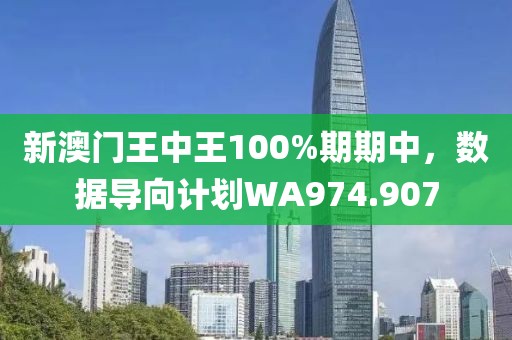 新澳門王中王100%期期中，數(shù)據(jù)導(dǎo)向計劃WA974.907