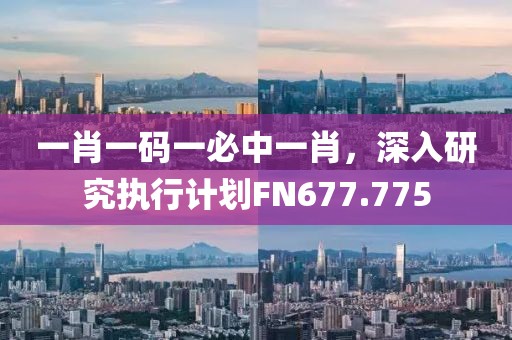 一肖一碼一必中一肖，深入研究執(zhí)行計(jì)劃FN677.775