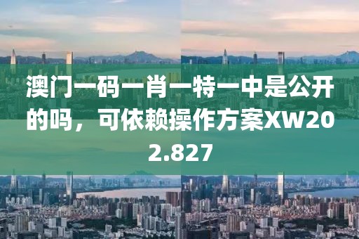 澳門一碼一肖一特一中是公開的嗎，可依賴操作方案XW202.827