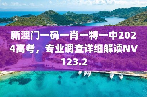 新澳門一碼一肖一特一中2024高考，專業(yè)調(diào)查詳細(xì)解讀NV123.2