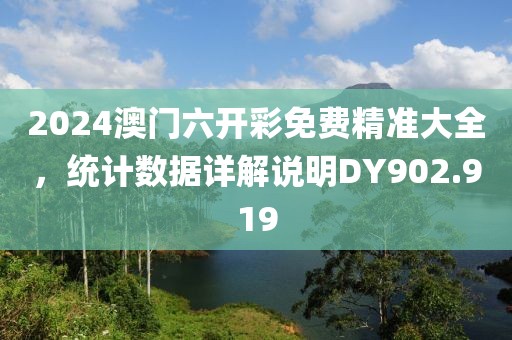 2024澳門六開彩免費(fèi)精準(zhǔn)大全，統(tǒng)計數(shù)據(jù)詳解說明DY902.919