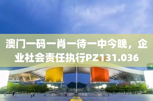 澳門一碼一肖一待一中今晚，企業(yè)社會責(zé)任執(zhí)行PZ131.036