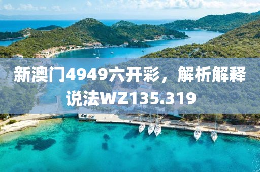 新澳門4949六開彩，解析解釋說(shuō)法WZ135.319