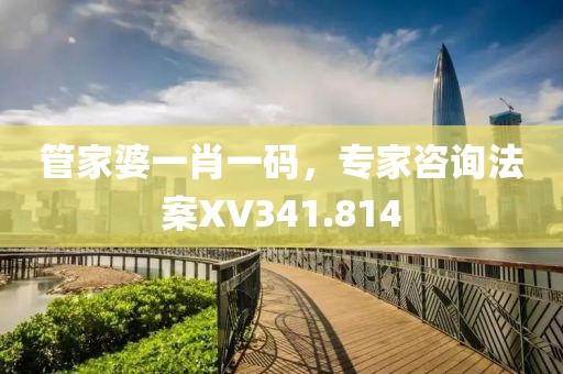 管家婆一肖一碼，專家咨詢法案XV341.814